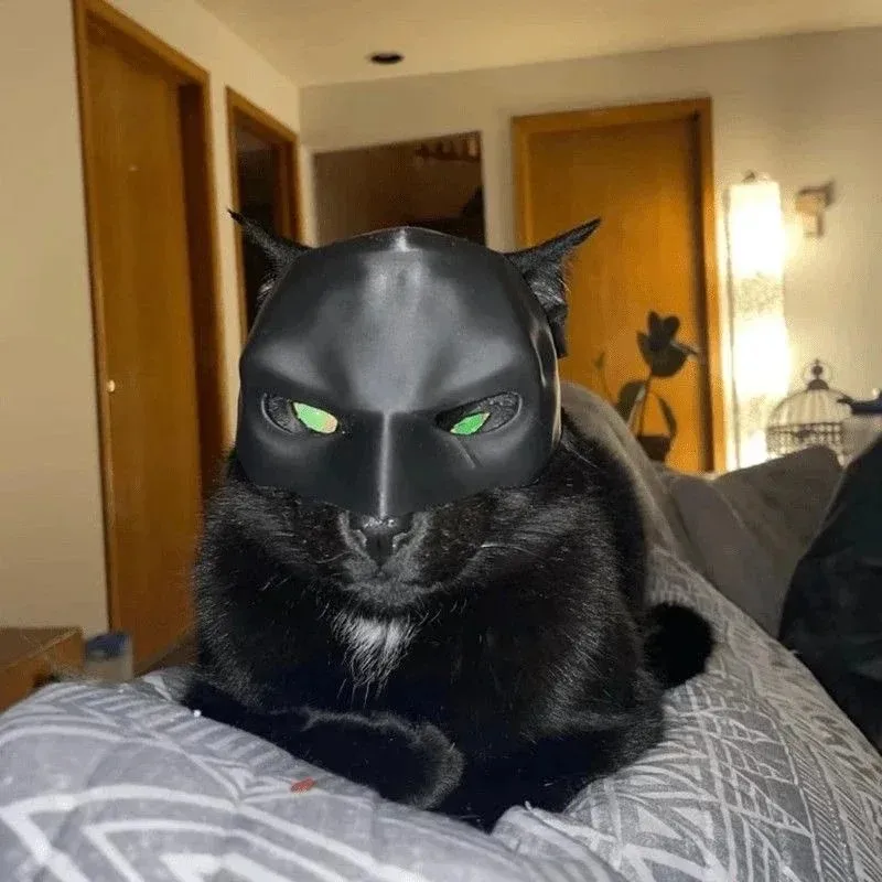 3D Printing Foto - 3D Printed Cat Avenger Mask Bat