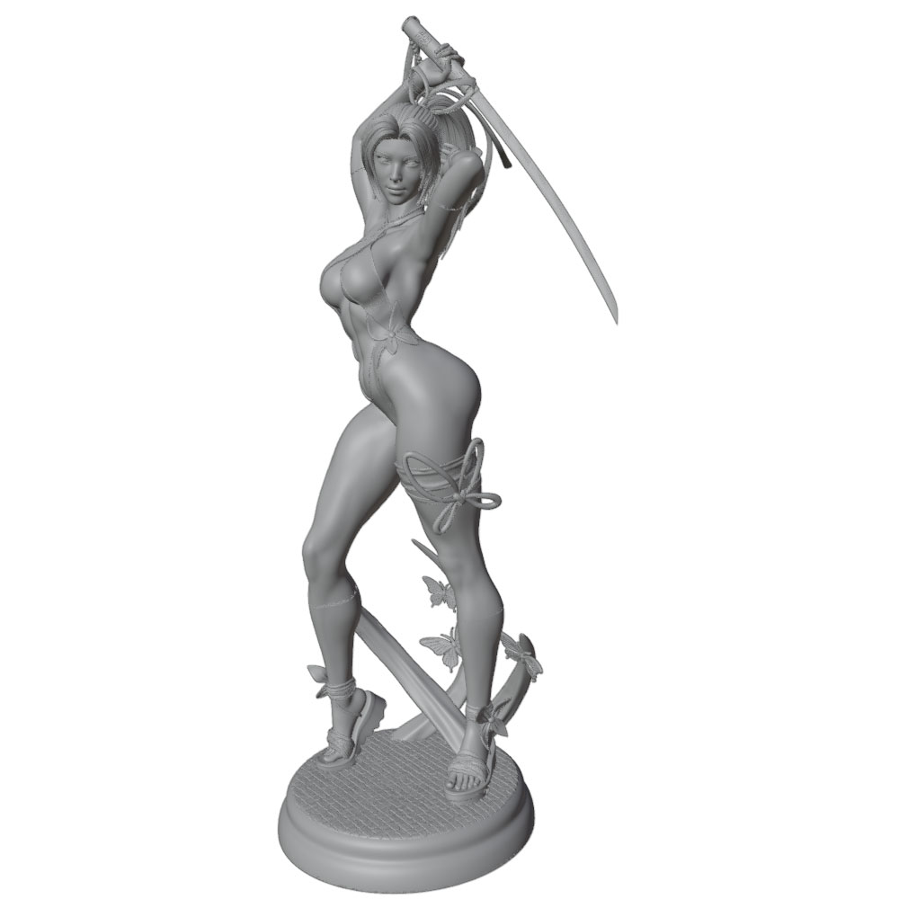 1/24 Female 	Warrior Resin Mod - 3D Printing App 评论和价格